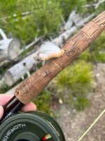 IMG_6130.jpeg