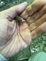 IMG_0127.jpeg
