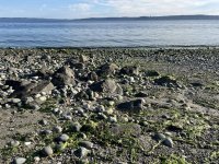 IMG_1209.jpeg