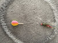 IMG_7724.jpeg IMG_7724.jpeg