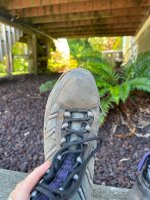 IMG_5991.jpeg