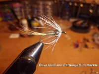 Densons Golden Olive Bumble.jpg