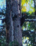 20260708_192613.jpg