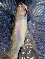 IMG_2294.jpeg
