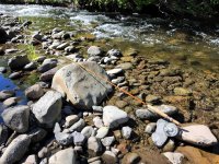 20260709_RodStream.jpg