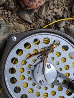 20260709_JiggyCraw.jpg