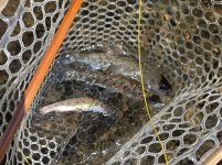 20260709_hatchery.jpg