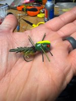 IMG_2447.jpeg