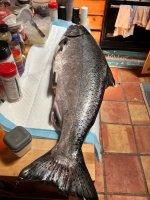 IMG_5748.jpeg