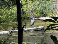 IMG_7463.jpeg