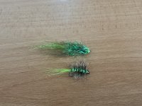 IMG_0281.jpeg