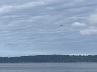 IMG_7042.jpeg