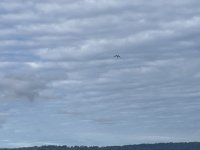 IMG_7043.jpeg