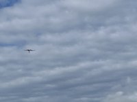 IMG_7044.jpeg