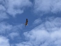 IMG_7045.jpeg