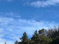 IMG_7046.jpeg