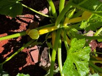 IMG_7482.jpeg