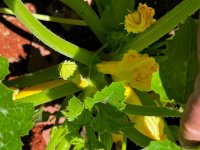 IMG_7481.jpeg