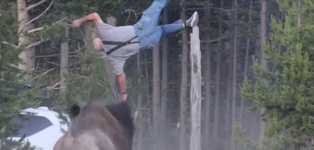 1783897441157.png 1783897441157.png