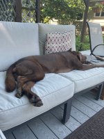 IMG_3182.jpeg