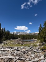 IMG_7378.jpeg