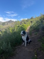 IMG_7063.jpeg