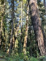 IMG_6140.jpeg