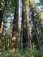IMG_6138.jpeg