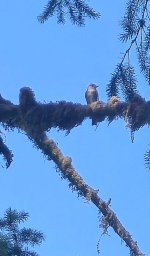 20260714_142143.jpg