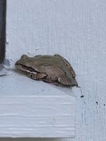 IMG_3514.jpeg