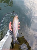 IMG_3255.jpeg