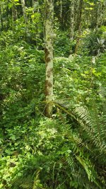 20260715_120259.jpg 20260715_120259.jpg