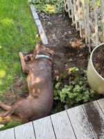 IMG_4257.jpeg