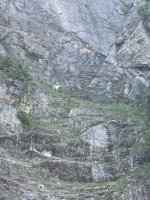 IMG_4419.JPG IMG_4419.JPG
