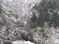 IMG_1729.jpeg IMG_1729.jpeg