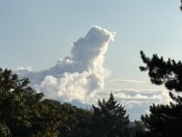 IMG_9759.jpeg