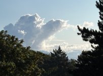IMG_9763.jpeg