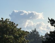 IMG_9771.jpeg