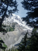 A01NisquallyGlacier&MtRainierP6230048.png