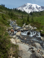 A04MtRainierOverEdithCreek6230120.png