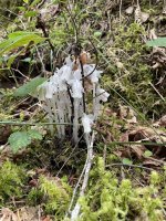 IMG_6142.jpeg