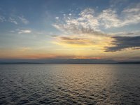 IMG_7500.jpeg