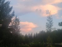 20260715_205320.jpg