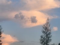 20260715_205222.jpg