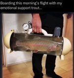 IMG_5641.jpeg