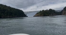 IMG_7533.jpeg