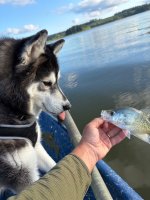 IMG_0147.jpeg