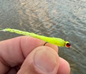 IMG_0159.jpeg