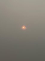 IMG_3739.jpeg IMG_3739.jpeg