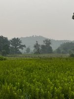 IMG_3744.jpeg IMG_3744.jpeg